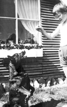 STIHUSVEJ 7, SMUT - LYSTRUP STRAND, godbid til Nalle fra Ella Jacobsen 1956. Nalle er kioskejer Hvids hund.
